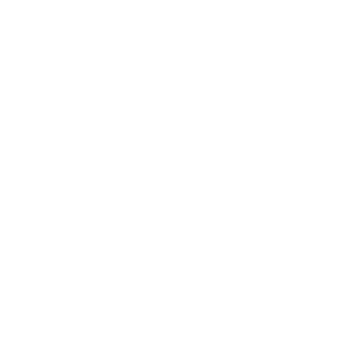 Falcon & Swift Geomatics Logo